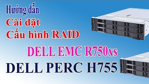 Hướng dẫn cài đặt mega raid manage 15
