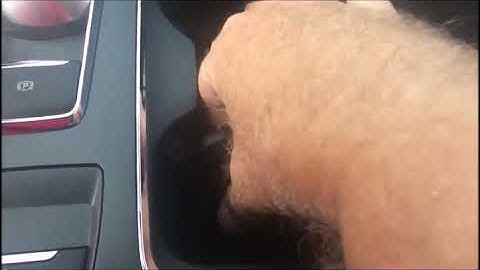 2019 Ford Fusion; adding spare proximity keys when you have 1 working key to start