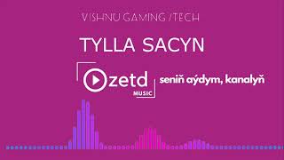 Turkmen Minus Sazlar Turkmen Karaoke Tylla Sacyn ZETD MUSIC 2020 Resimi