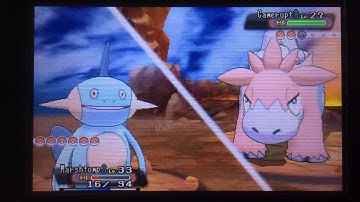 Pokemon Omega Ruby - Team Magma Maxie