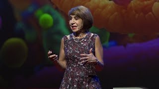 ¿Porqué me duele la panza? | María Laura Arias | TEDxPuraVida