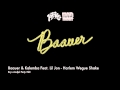 Baauer Kalemba Feat Lil Jon Harlem Wegue Shake Krys Andjel Party Edit 