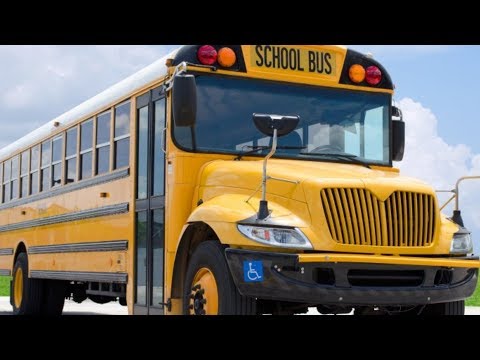 Video: ¿Deberían los autobuses escolares tener pros y contras de cinturones de seguridad?