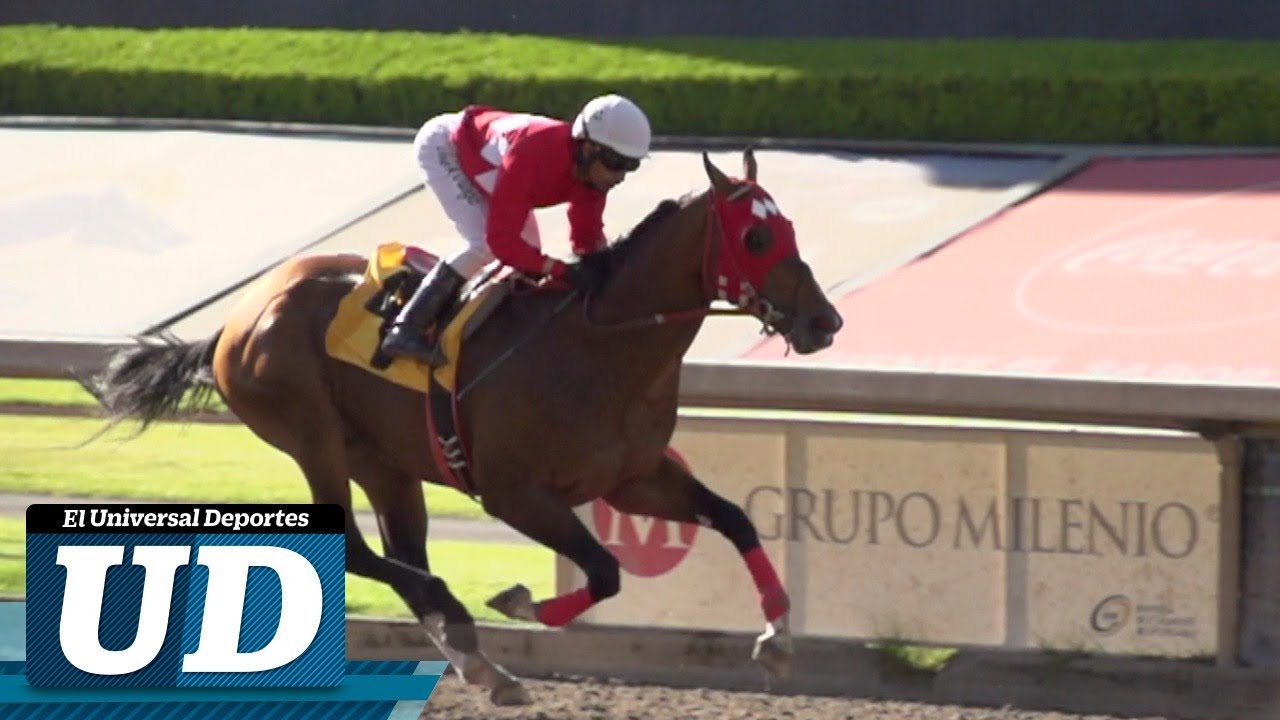 🤔🏇¿Qué es el handicap?🤔🏇 caballos de carreras