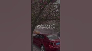 #قران_كريم #تلاوة_خاشعة_تريح_القلب #القارئ_ياسر_الدوسري #quran #راحة_نفسية #اكسبلور