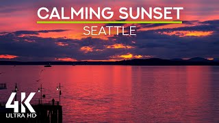 8 HRS Ocean Waves Sounds & Squawking Seagulls for Deep Relaxation - Pink Sunset over Seattle in 4K screenshot 4