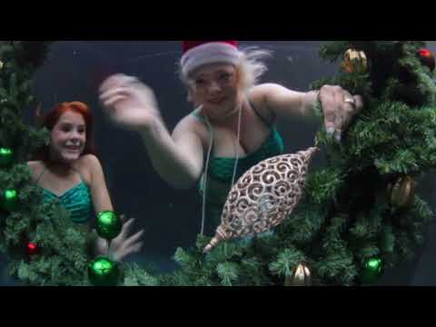 Happy Holidays from Mertailor & Our Mermaids!
