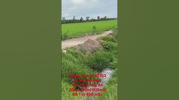 Đường Tỉnh Lộ DT823(DT818)-Mặt Tiền Bờ Kênh(4m)Đức Huệ-Long An.DT:1920m2(20m x 100m)Giá 70tr/m ngang