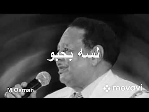 لسه بحبو