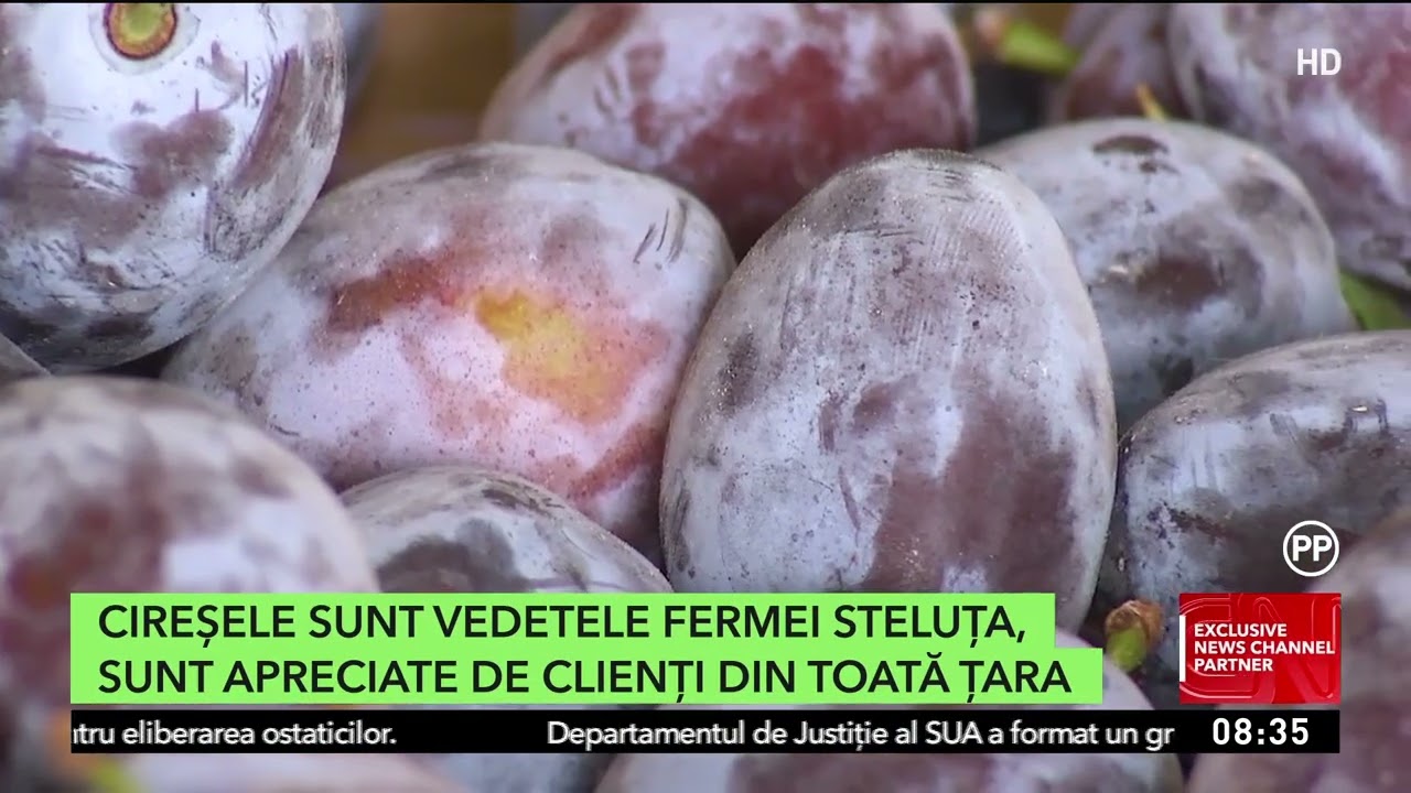 El este Dan Mitre, tânărul care a făcut din Ferma Steluța o afacere de succes
