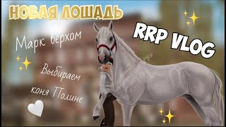 : RRP VLOG|STAR STABLE|| 