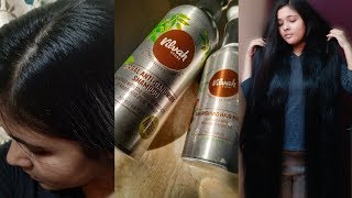 Vilvah Moringa Argan Oil Hairmask & Herbal Anti Dandruff Shampoo For Straight To Wavey Hair