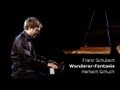 Herbert schuch plays schubert wandererfantasie