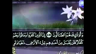 سورة ال عمران كاملة الشيخ سعد الغامدي: Saad Al Ghamdi Surah Al-Imran