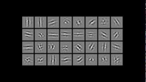 Unsupervised learning using Spikenet