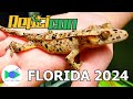 Best of reptilecon  jacksonville florida spring 2024