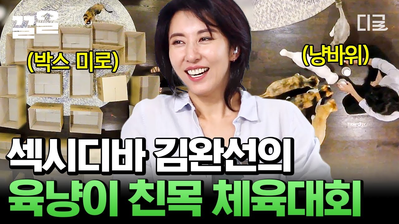 [#대화가필요한개냥] 육냥이 집사 김완선의 쉽지 않은 육아 일기💪 달밤의 6냥이 운동회까지 마친 김완선