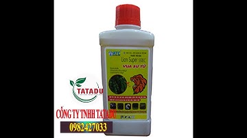 VUA SƯ TỬ – THUỐC ĐẶC TRỊ SÂU ĐỤC CÀNH GÂY HẠI TRÊN CÂY ĂN QUẢ CÓ MÚI