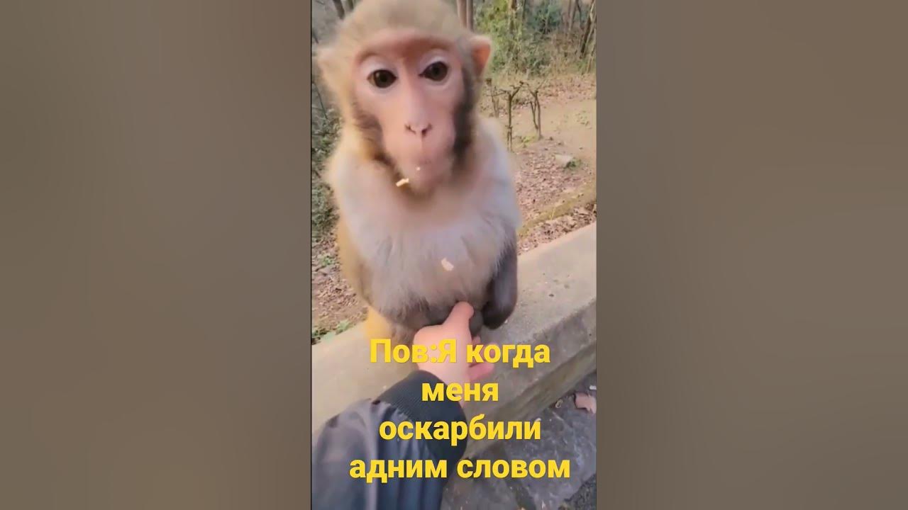 #негор - YouTube