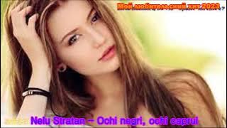 Мой любительский хит 2023 - Nelu Stratan - Ochi negri, ochi caprui (01.09.2023)