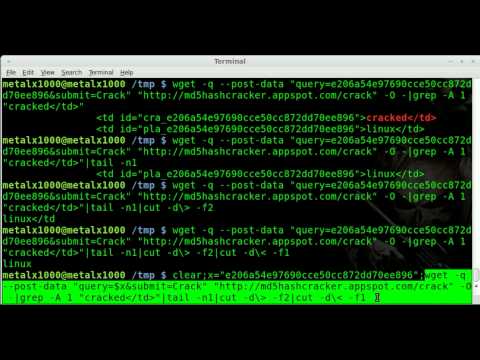 MD5 HASH CRACK - WGET - BASH - Linux