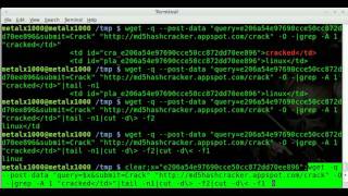 MD5 HASH CRACK - WGET - BASH - Linux