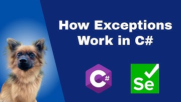 How Exceptions work in C#