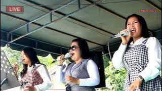 Rodo au tu pesta mi - cipt . Togor G Marpaung // Live Cover DETA VOICE