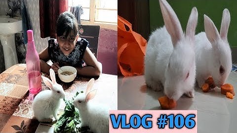 Priyanshi ki Pichee hi Pad gayee hey Cute &Pie 😍☺|Vlog#106#babinayoutuber #learnwithpriyanshi