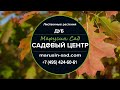 Садовый Центр &quot;Марусин Сад&quot; - Дуб