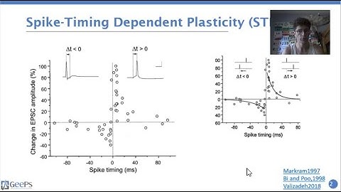 Introduction to Spike Timing Dependent Plasticity (STDP) - A temporal learning rule