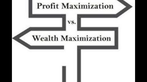 Profit Maximization vs Wealth Maximization