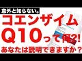 【コエンザイムQ10】の秘密!! 基礎代謝が〇〇なトレーニーには必須な栄養素って本当?