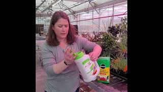 Garden to Kitchen: 3 Fertilizer types
Garden to Kitchen: 3 Fertilizer types Garden to Kitchen: 3 Fertilizer types