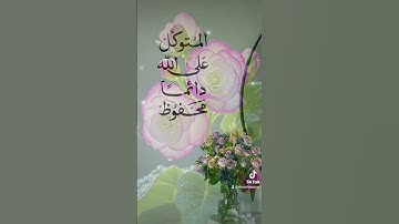 قران كريم تلاوة خاشعه #اكسبلور #duet #دويتو #القزابري #تيك_توك #المصحف