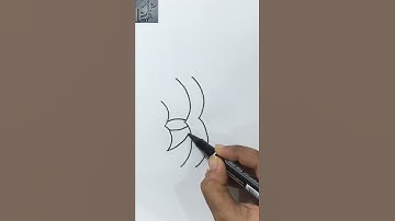 How to Draw a Fish // Easy Fish Drawing Tutorial // One Line Drawing