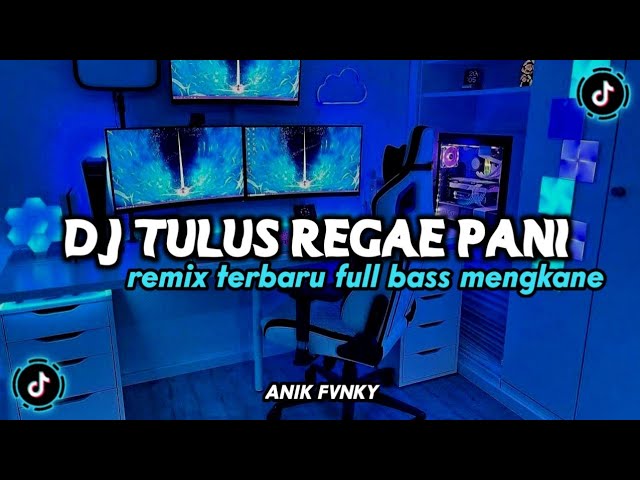 DJ VIRAL TERBARU TULUS REGAE DJ GENGGEM TANGAN MU PANI FVNKY | YANG KALIAN CARI CARI SELAMA INI !!!! class=