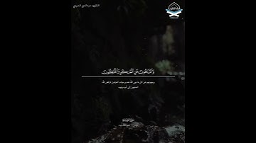التائبون العابدون الحامدون السائحون الراكعون الساجدون #سورة #التوبة #عبدالعزيز_الدبيخي #قرآن_كريم