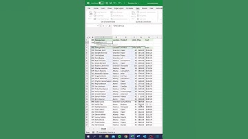 Excel Tips and Tricks - How to use Create Custom Filters for Looking up Data in a Table in Excel