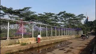 Lagu   Profil Pelajar Pancasila   no copyright