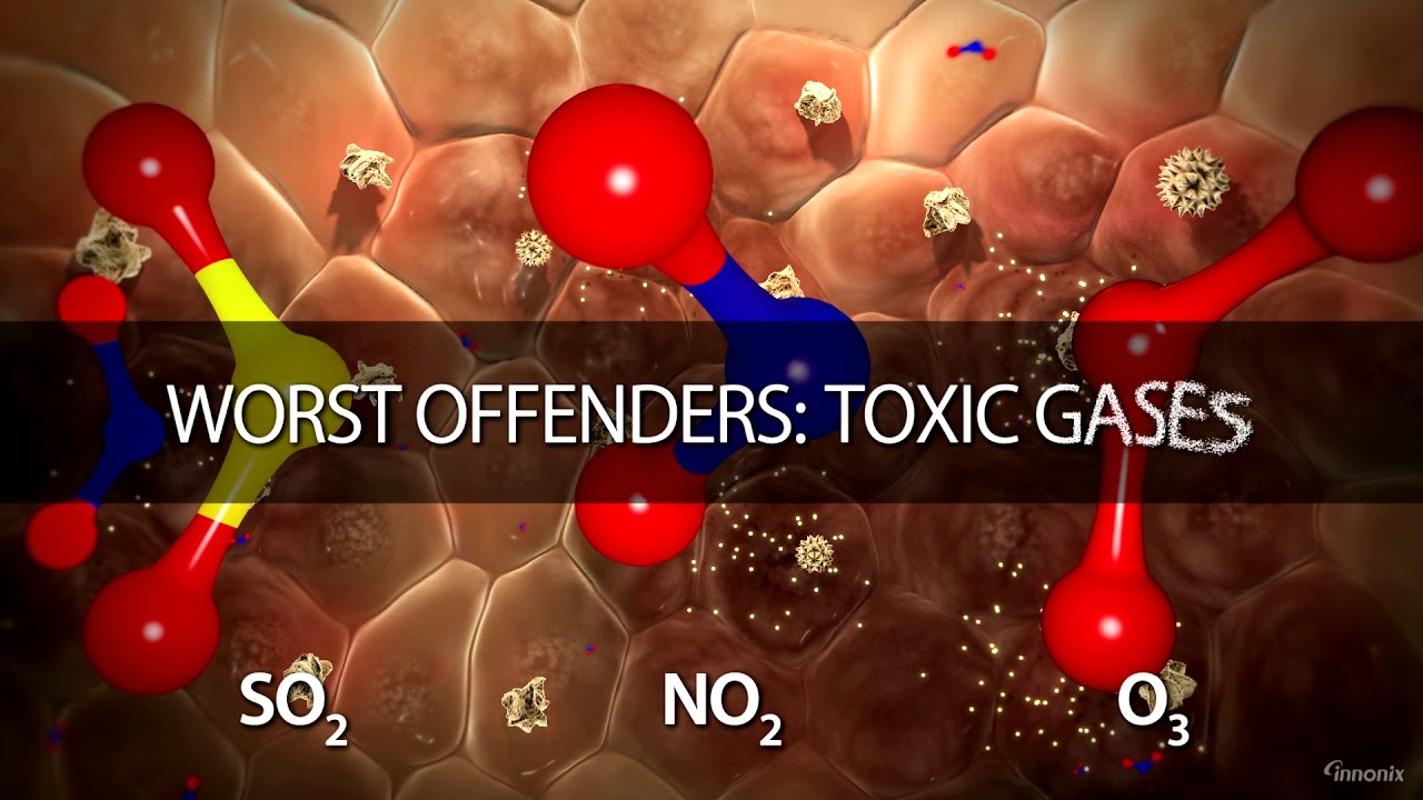 Air Pollution and RK RespoKare Anti-Pollution Mask