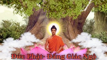 TÓM TẮT PHIM: Đức Phật - Đấng Giác Ngộ (full)