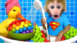 Monyet BonBon makan anggur warna warni bersama anak itik dan pergi ke pasar raya