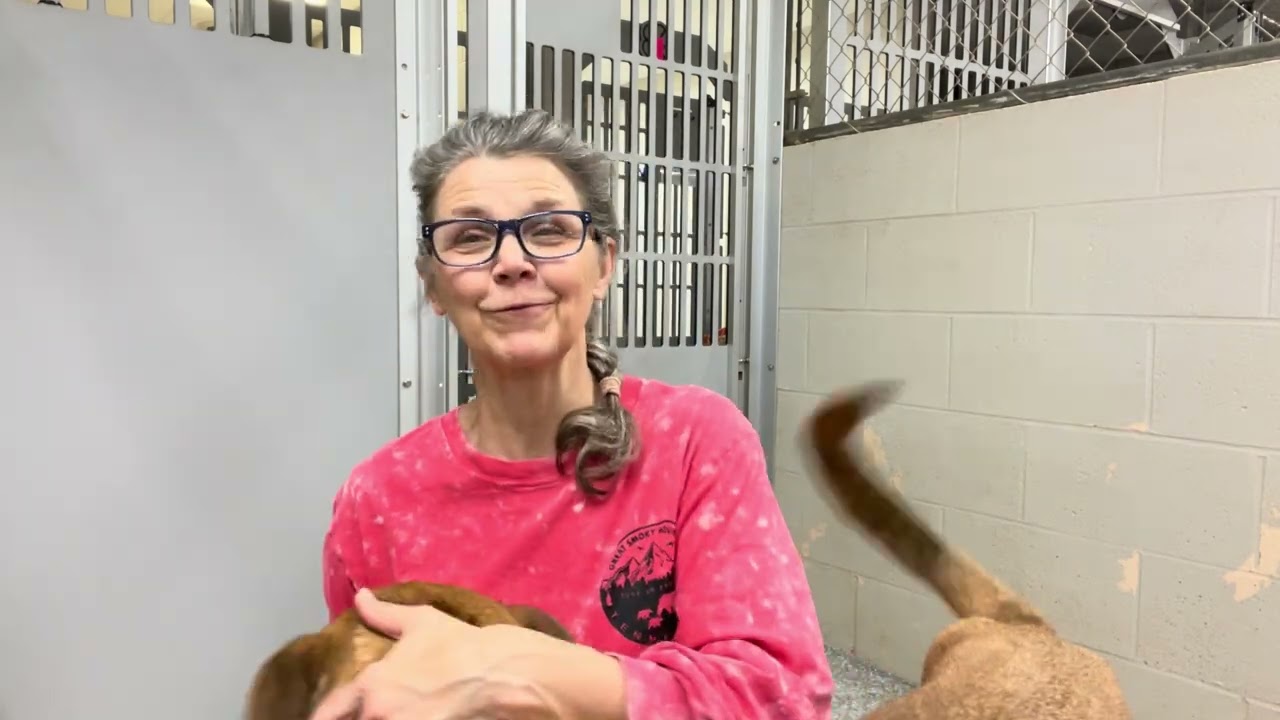 Door Manners 2/16/2026