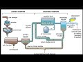 Sewage Treatment | Microbes in Human Welfare | Biology | Class 12 |AKT Biology #cbse12thbiology 