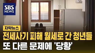 전세사기 피해 월세로 간 청년들...또 다른 문제에 '…