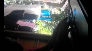 lagu sungai
