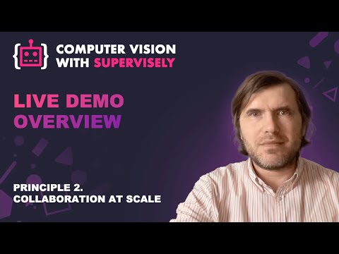 Principle 2 Live Demo Overview