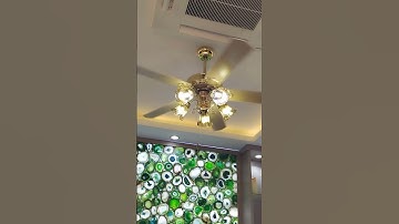 Quạt trần đèn trang trí. xem website trankien.vn