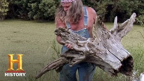 Swamp People: Bruce Gives His Wife a Tree Stump | ...